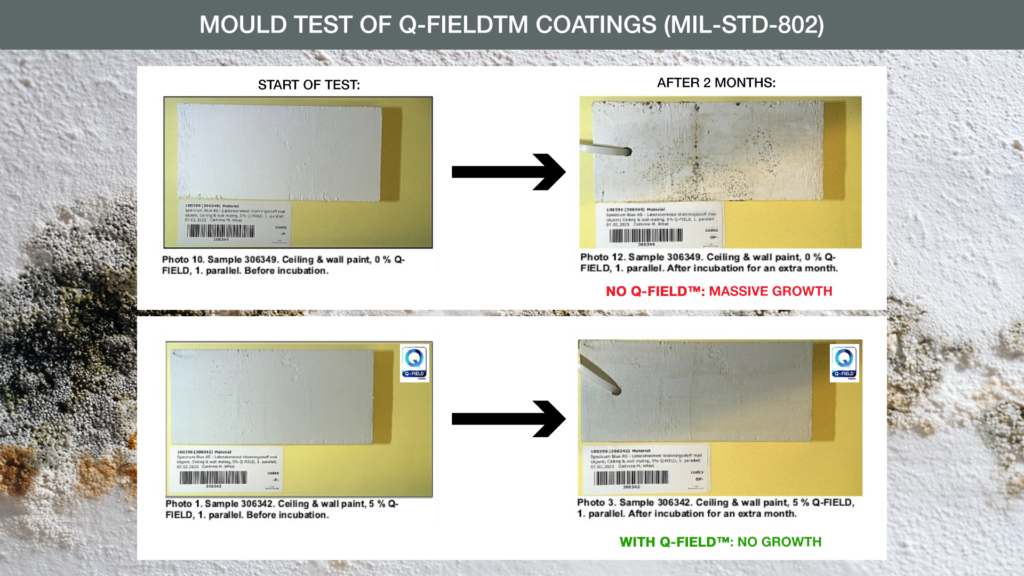 Sammenligningsbilde fra muggtest av Q-FIELD™-belegg (MIL-STD-802). Øverst vises prøve av tak- og veggmaling uten Q-FIELD™ ved teststart og etter to måneder, med tydelig og omfattende muggvekst etter inkubasjon. Nederst vises tilsvarende maling med 5 % Q-FIELD™, ved teststart og etter samme periode, uten synlig muggvekst. Bildet illustrerer at maling med Q-FIELD™ motstår mugg, mens maling uten viser kraftig vekst. Foto.